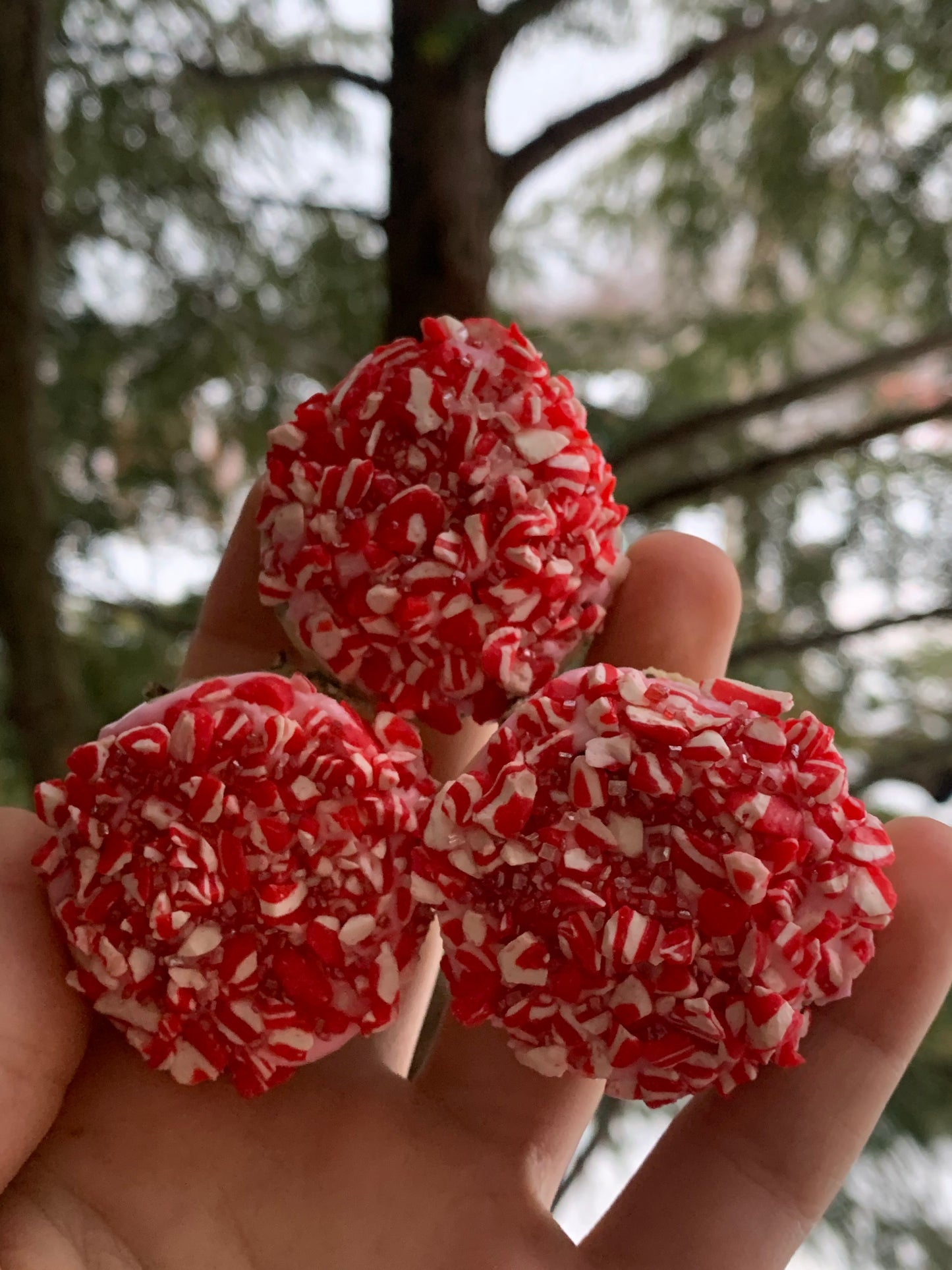 Delightful Donut Pack