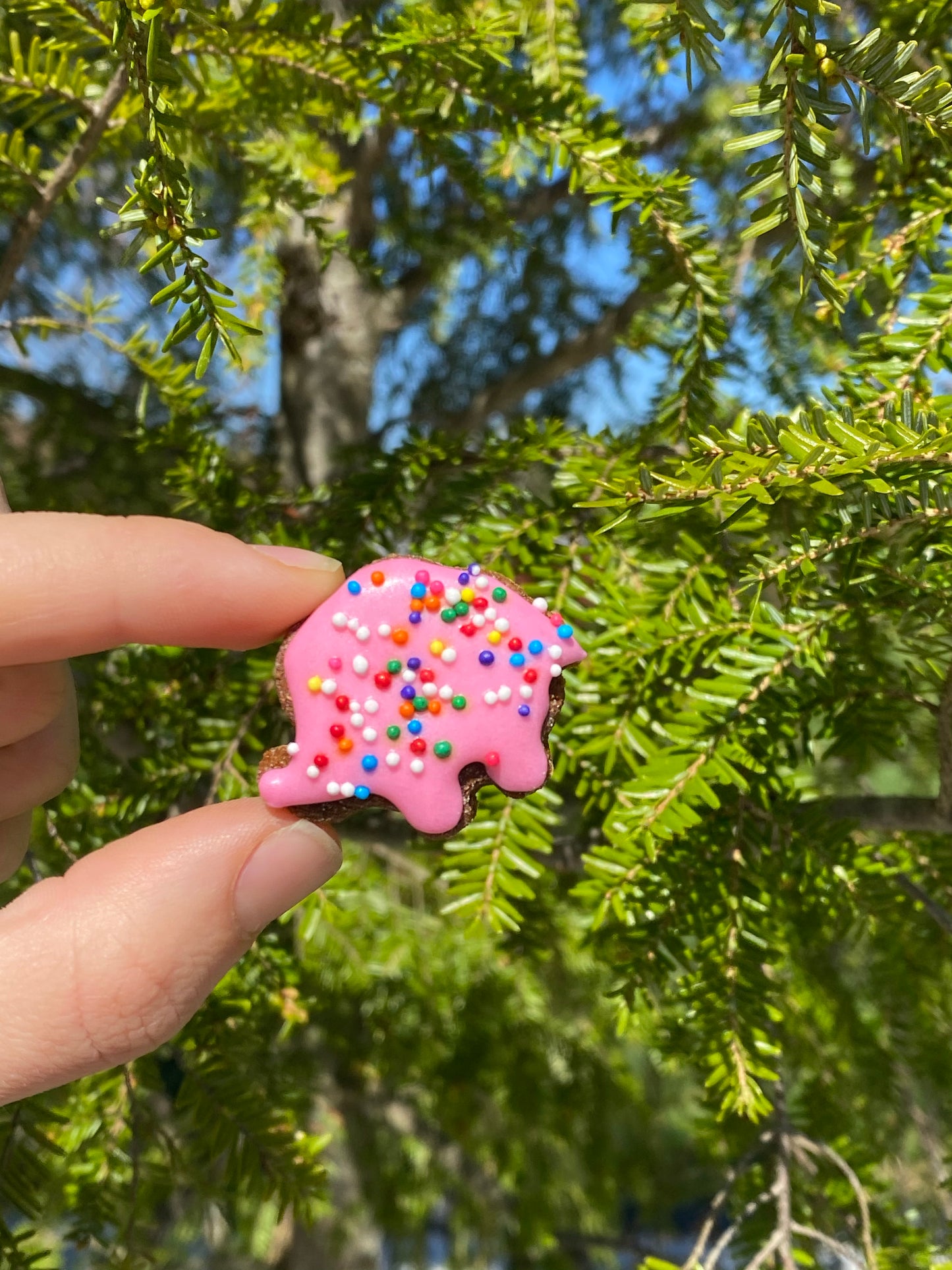 Mini Animal Crackers