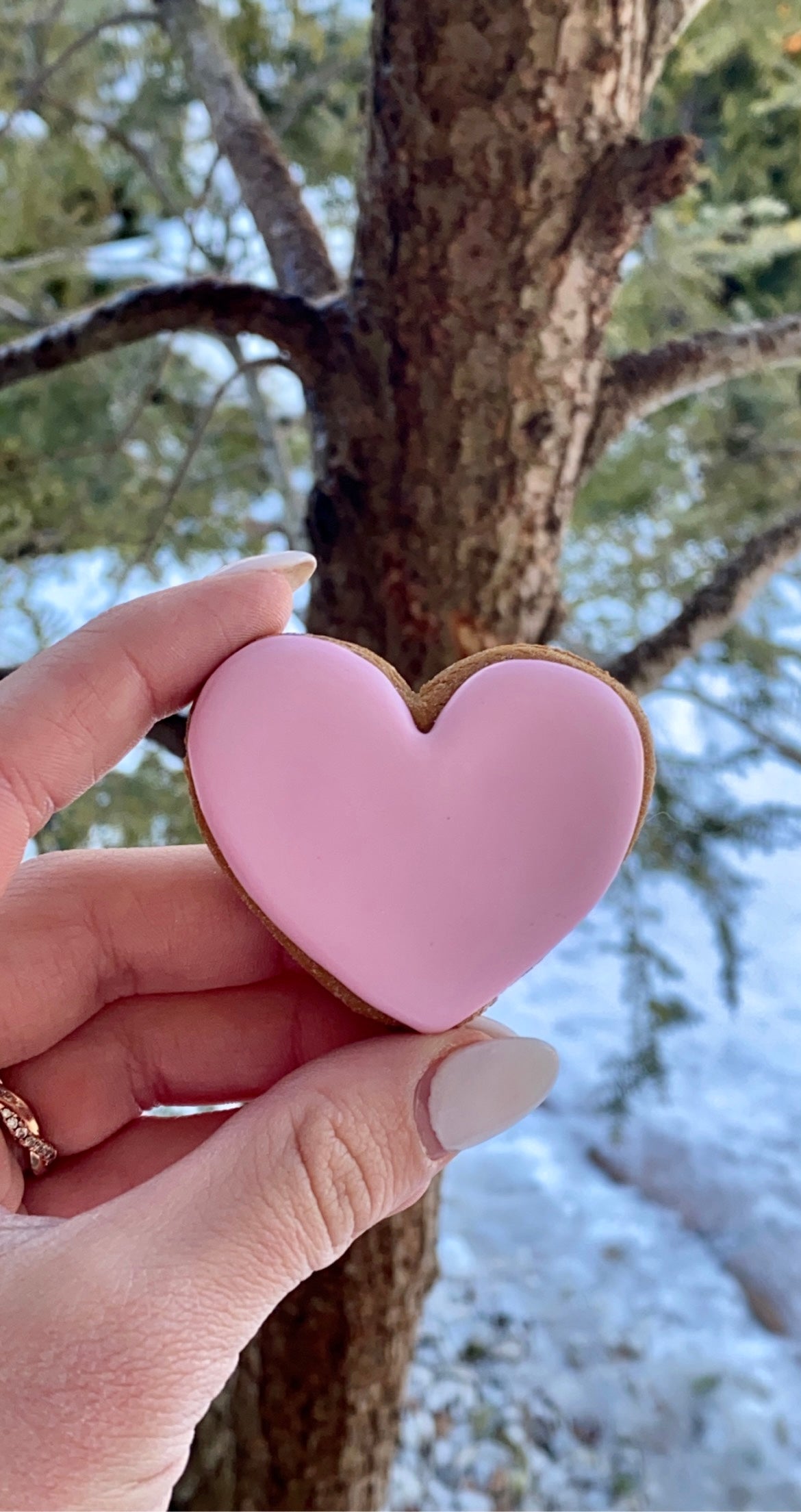 Sweet Hearts
