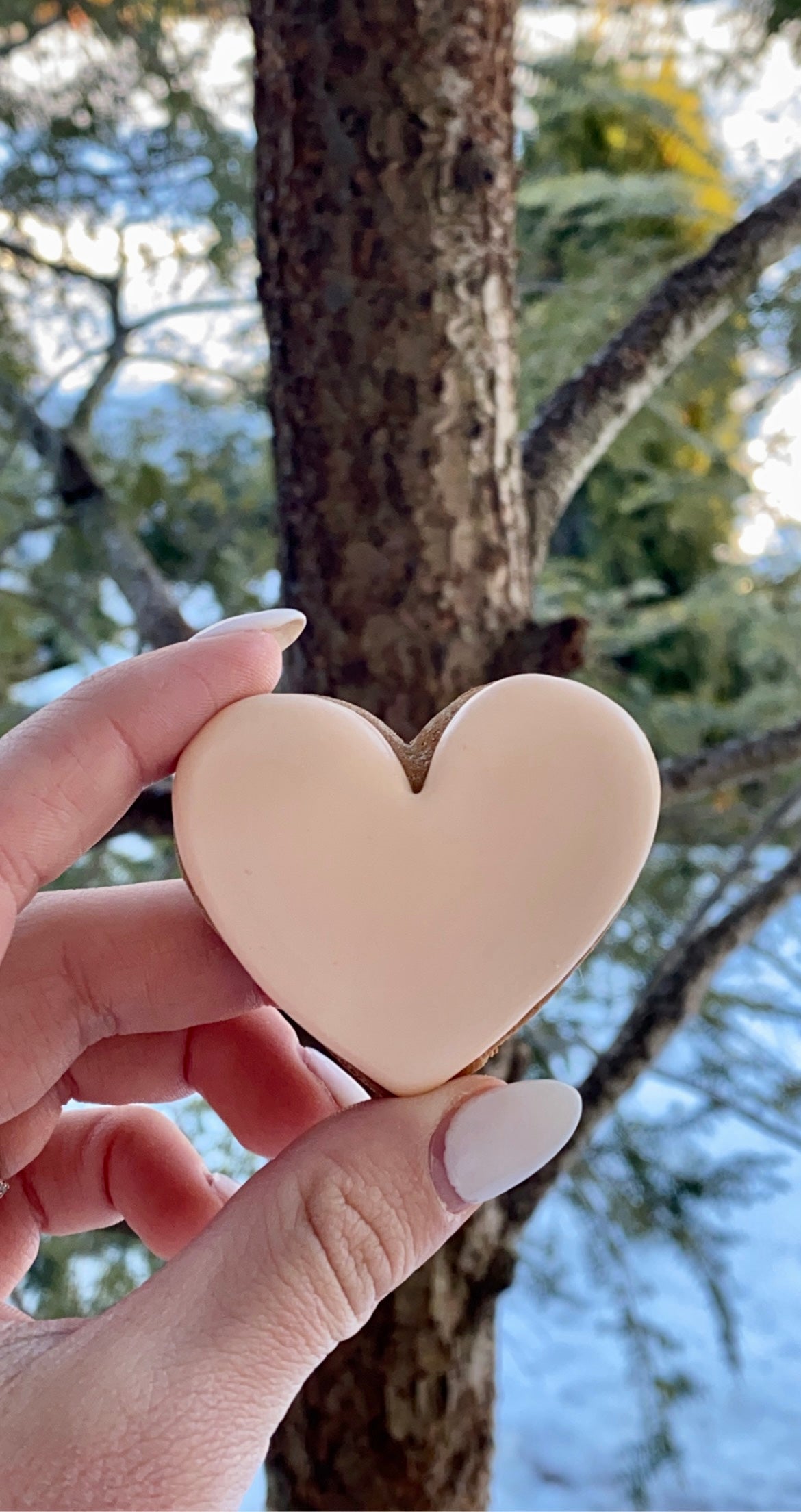 Sweet Hearts