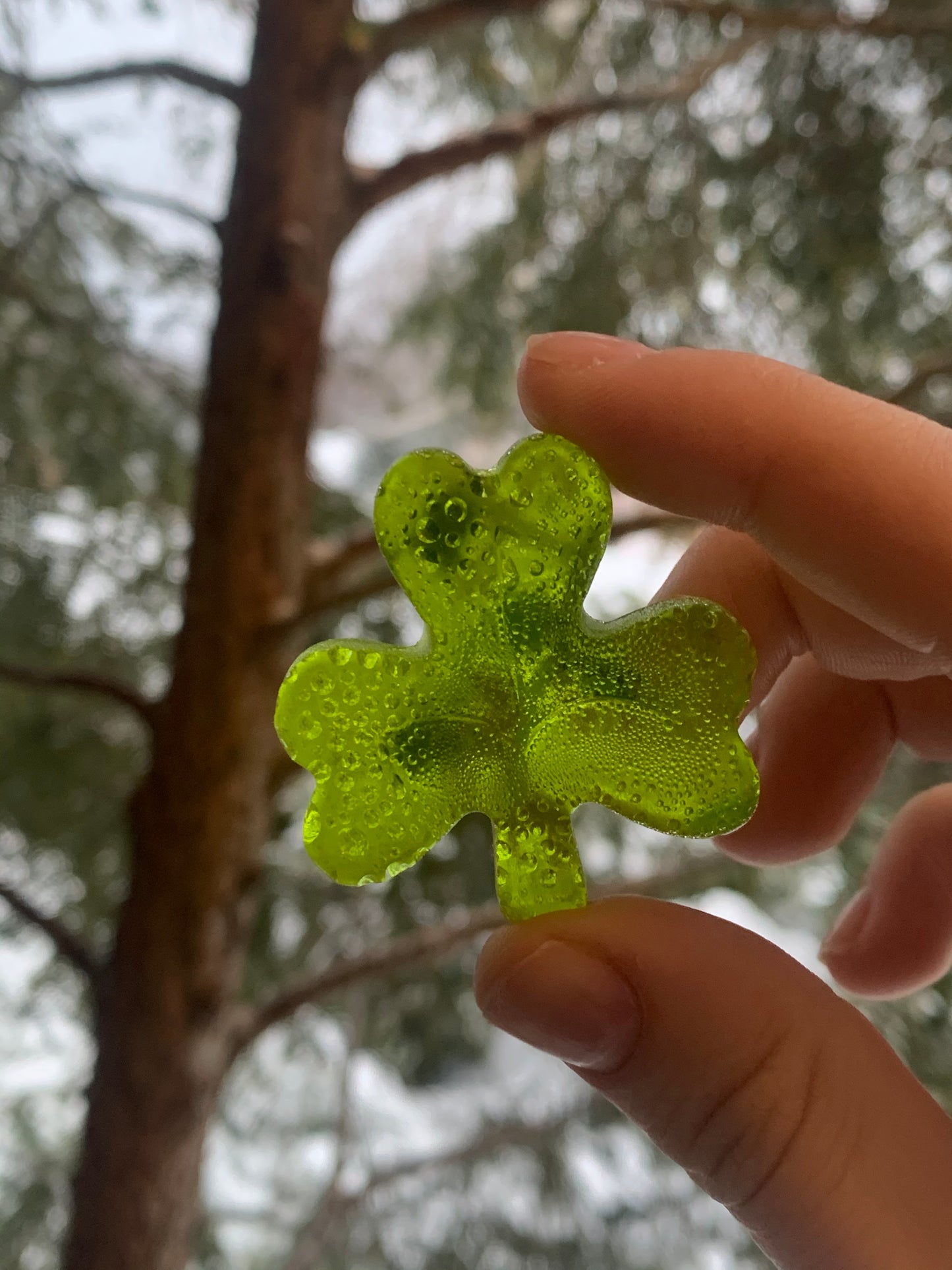 Jolly Clovers