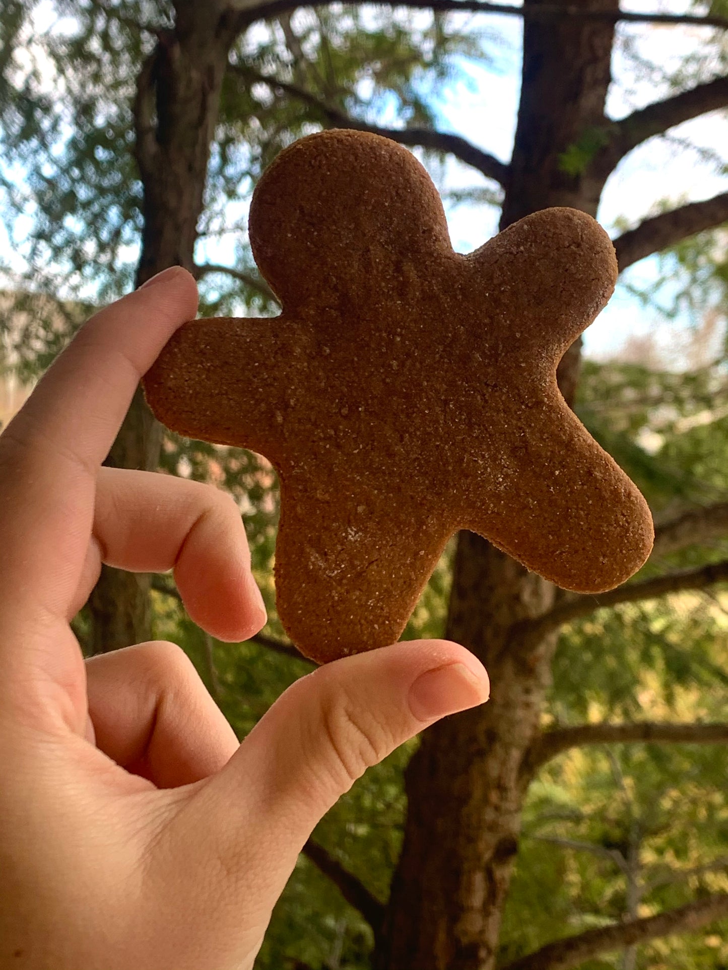 Gingerbread men