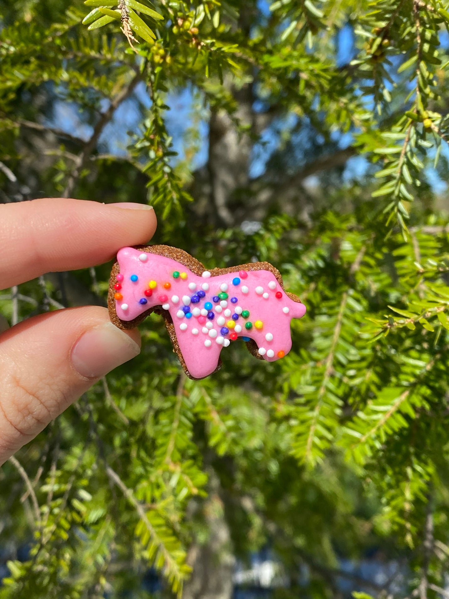 Mini Animal Crackers