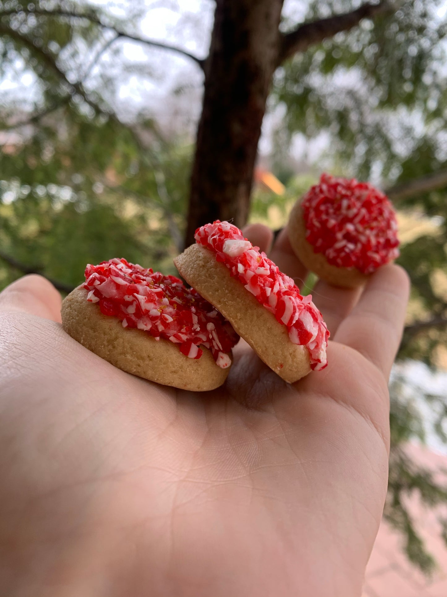 Peppermint Nibblers