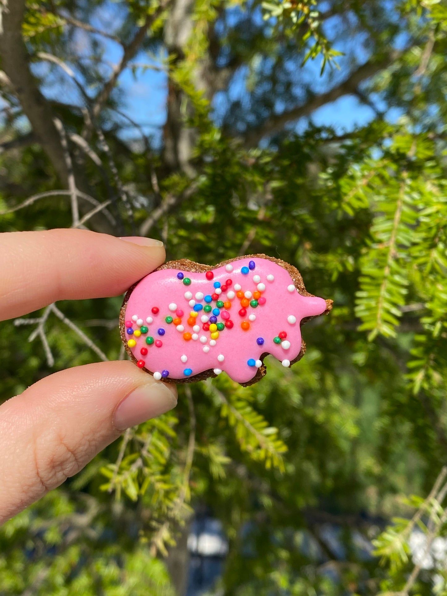 Mini Animal Crackers