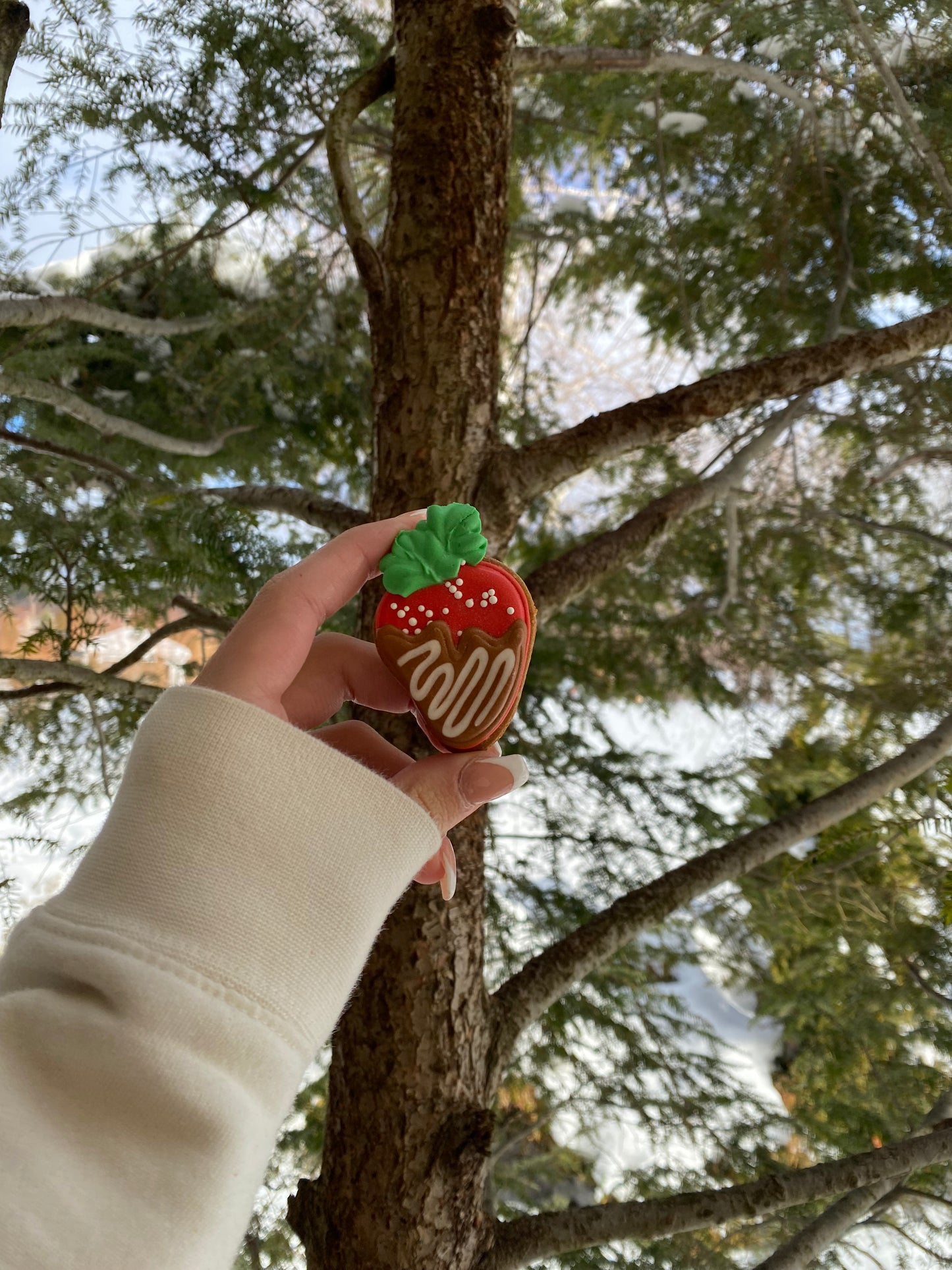 Chocolate Covered Strawberries