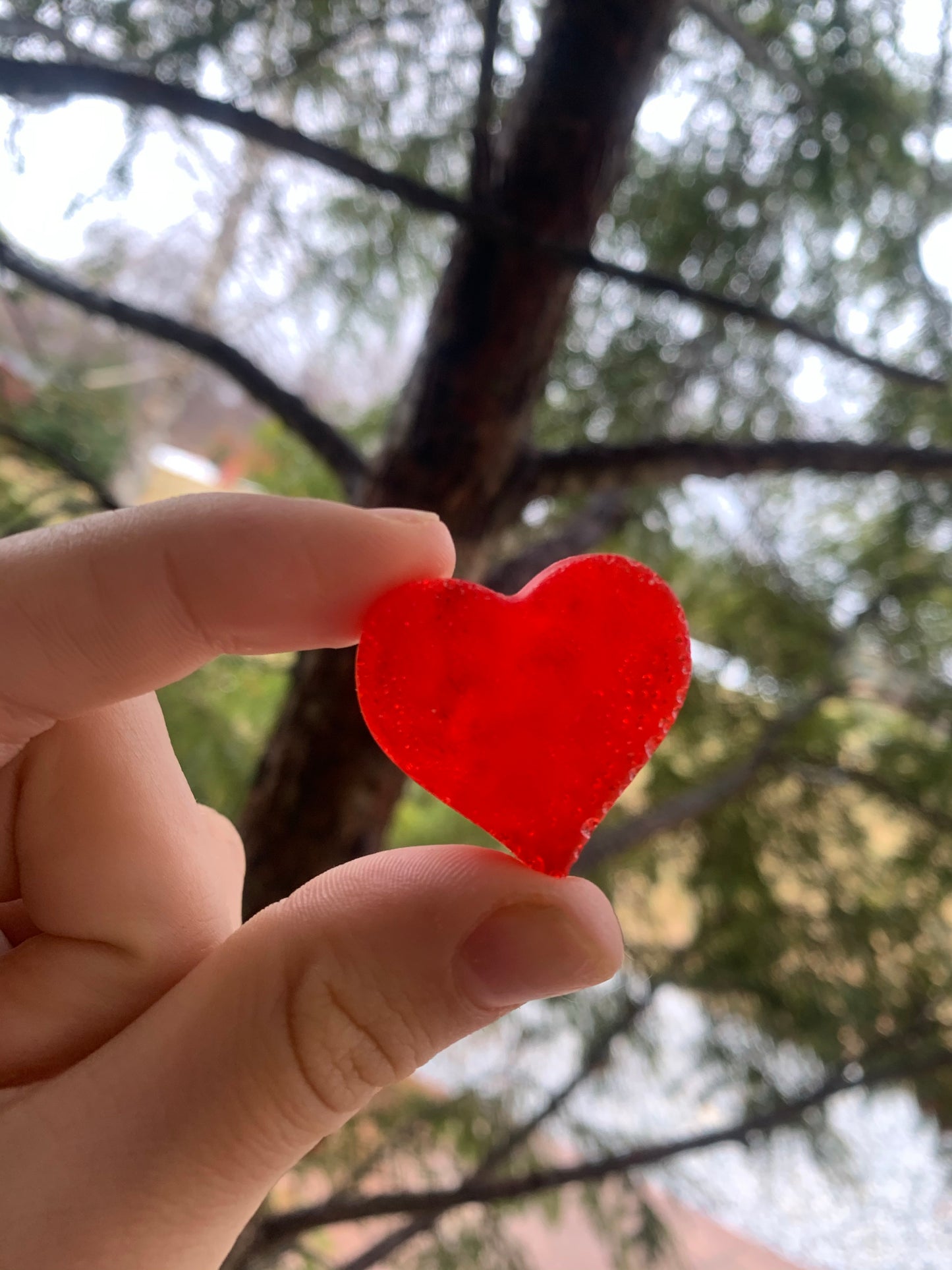 Peppermint Hearts